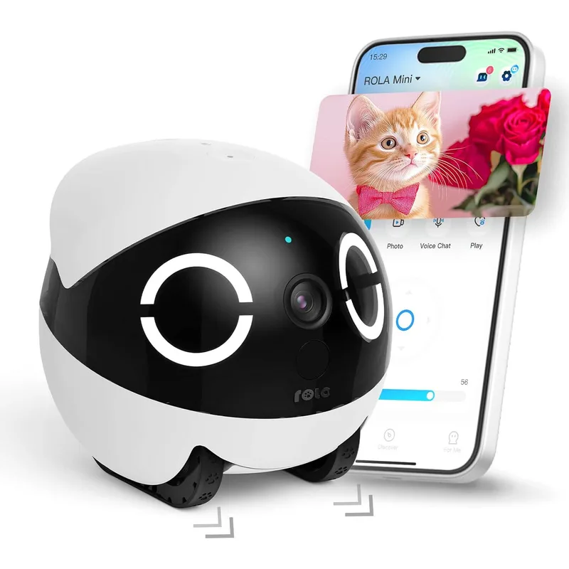 ROLA Mini Companion Robot